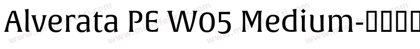 Alverata PE W05 Medium字体转换